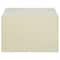 JAM Paper 5.43" X 8.62" Self Adhesive Closure Cello Sleeves, 100ct.